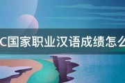 ZHC国家职业汉语成绩怎么查 