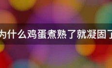 为什么鸡蛋煮熟了就凝固了 