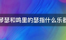 琴瑟和鸣里的瑟指什么乐器 