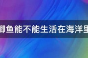 鲫鱼能不能生活在海洋里 