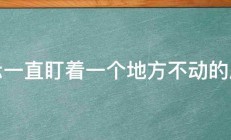 表示一直盯着一个地方不动的成语 