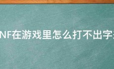 DNF在游戏里怎么打不出字来 