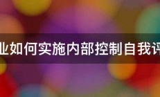 企业如何实施内部控制自我评价 