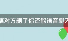 微信对方删了你还能语音聊天吗 