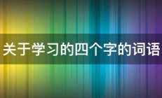 关于学习的四个字的词语 