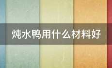 炖水鸭用什么材料好 