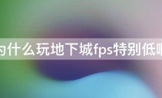 为什么玩地下城fps特别低啊 