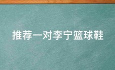 推荐一对李宁篮球鞋 