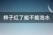 柿子红了能不能泡水 