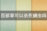 百部草可以杀死螨虫吗 