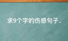 求9个字的伤感句子.. 