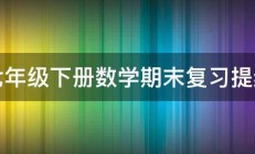 七年级下册数学期末复习提纲 