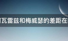 谈阿瓦雷兹和梅威瑟的差距在哪里 