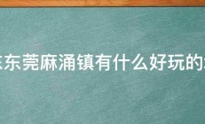 广东东莞麻涌镇有什么好玩的地方 