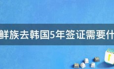 朝鲜族去韩国5年签证需要什么 