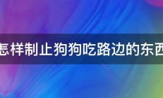 怎样制止狗狗吃路边的东西 