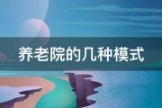 养老院的几种模式 