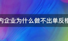 国内企业为什么做不出单反相机 