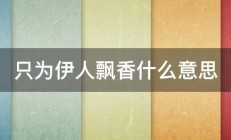 只为伊人飘香什么意思 