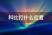 科比打什么位置 