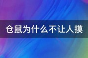 仓鼠为什么不让人摸 