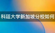 科廷大学新加坡分校如何 