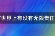 目前世界上有没有无限责任公司 