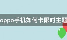 oppo手机如何卡限时主题 