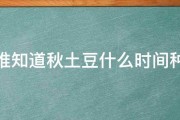 有谁知道秋土豆什么时间种啊 