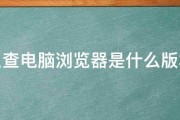 怎么查电脑浏览器是什么版本的 