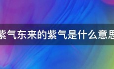 紫气东来的紫气是什么意思 