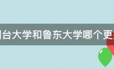 烟台大学和鲁东大学哪个更好 