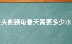 黄头侧颈龟春天需要多少水温 