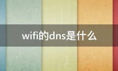 wifi的dns是什么 