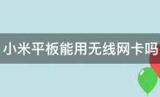 小米平板能用无线网卡吗 