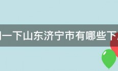 请问一下山东济宁市有哪些下属县 