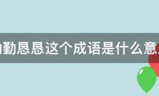 勤勤恳恳这个成语是什么意思 