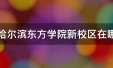 哈尔滨东方学院新校区在哪 