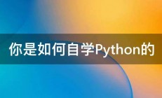 你是如何自学Python的 