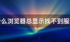 为什么浏览器总显示找不到服务器 