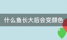 什么鱼长大后会变颜色 