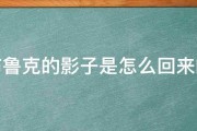 布鲁克的影子是怎么回来的 