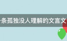 求一条孤独没人理解的文言文说说 