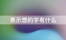 表示想的字有什么 