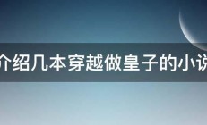 介绍几本穿越做皇子的小说 