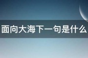 面向大海下一句是什么 