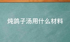 炖鸽子汤用什么材料 