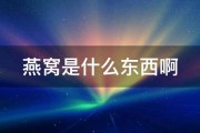 燕窝是什么东西啊 