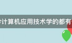 大学计算机应用技术学的都有什么 