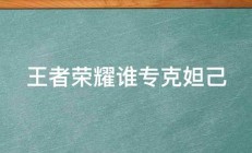 王者荣耀谁专克妲己 